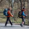 BlueFire Wilderness Therapy