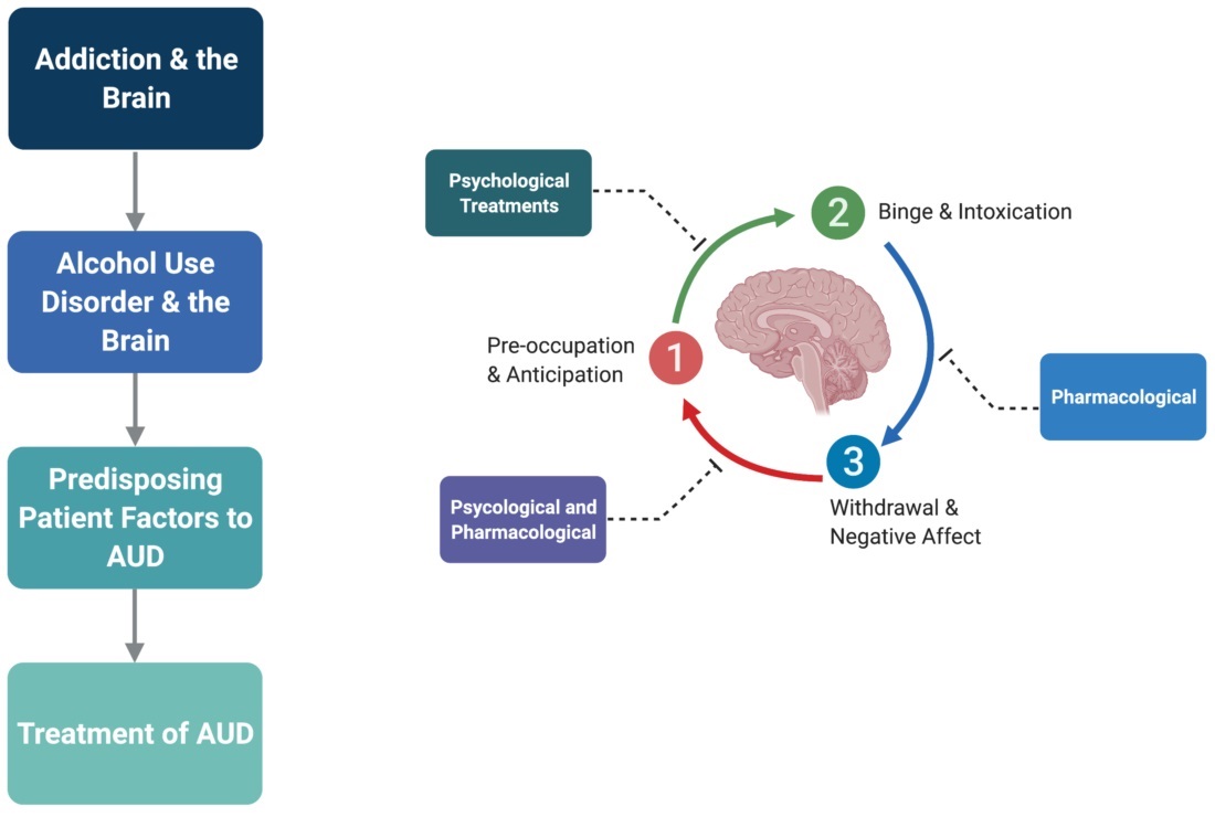 Addressing Alcohol Use Disorder in Adolescents: Strategies and Treatments