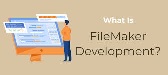 FileMaker developer
