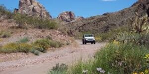 Discovering Arizona's Wild Terrain: An Off-Road Adventure Guide